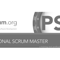 Professional Scrum Master